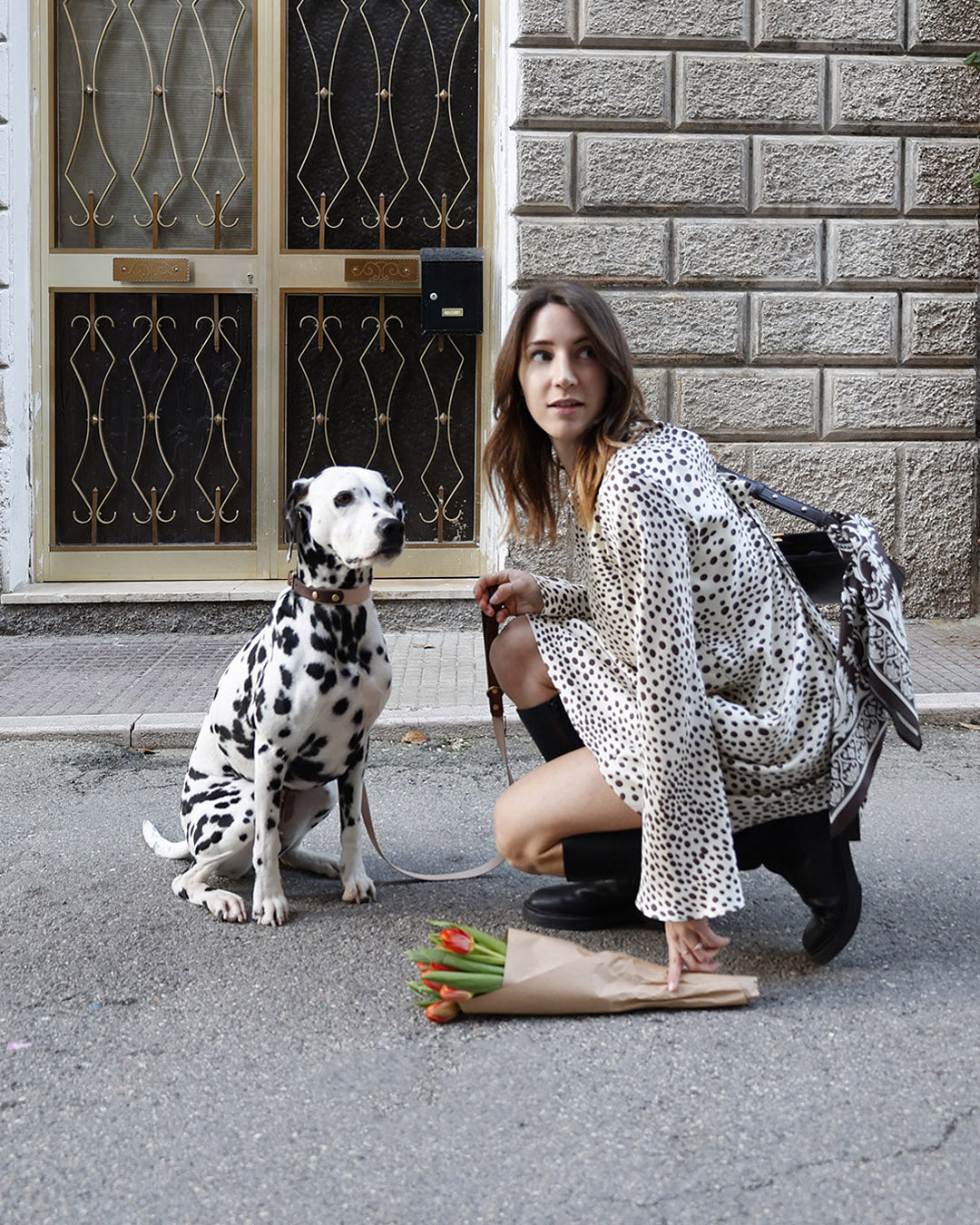 Dalmata Lovers